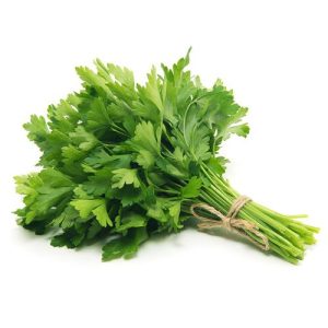 معدنوس