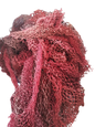 حلفة