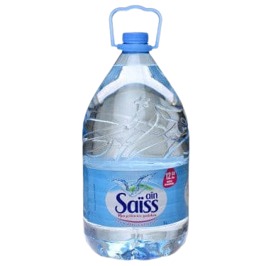 عين سايس