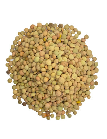عدس