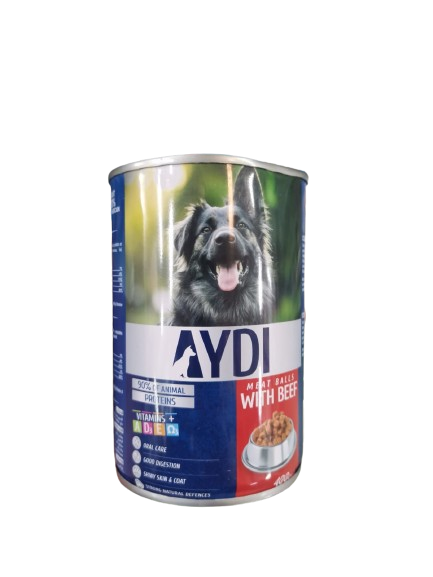 AYDI