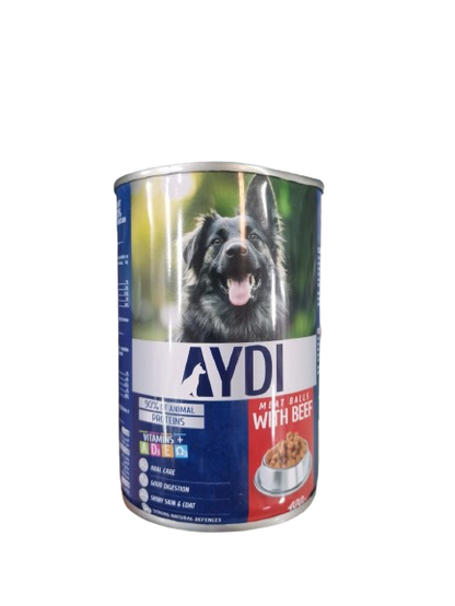 AYDI