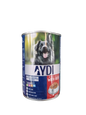 AYDI