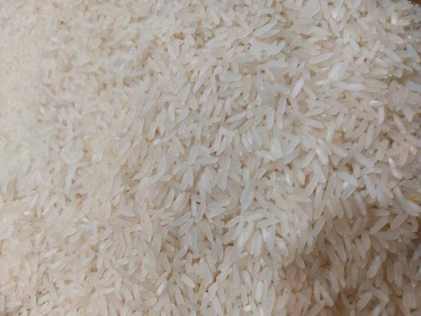 حبوب والقطاني