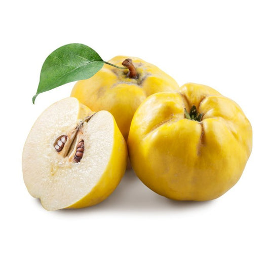 سفرجل
