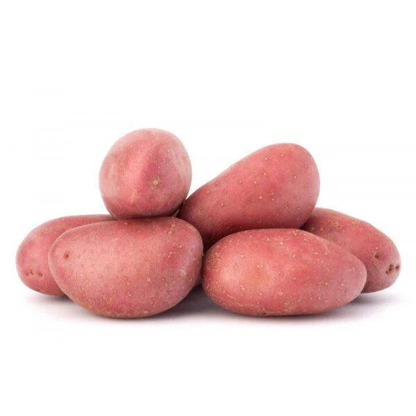 بطاطس