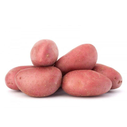 بطاطس