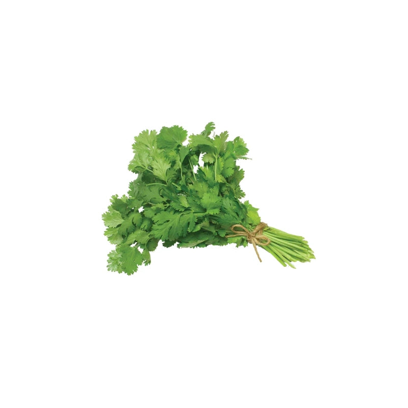 قسبور