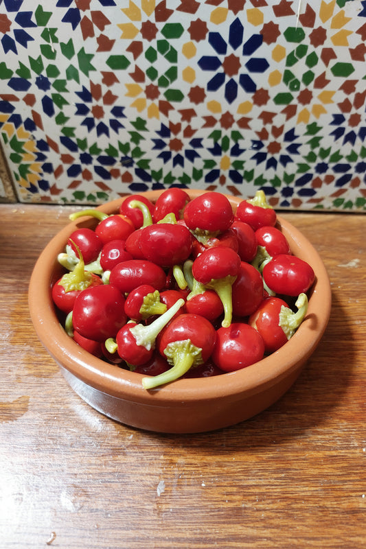 مزاود نيورة