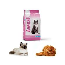 Croquettes